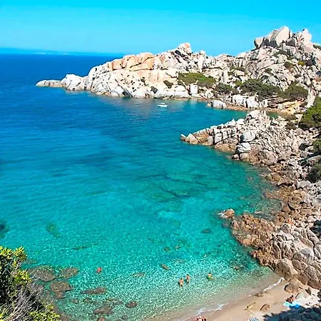Le Pavoncelle